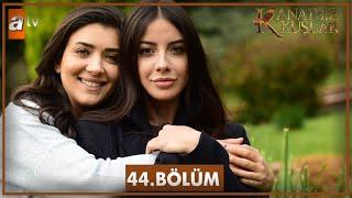 Kanatsız Kuşlar 44. Bölüm