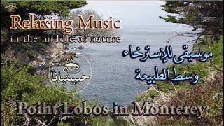 Relaxing Music for Peace of Mind in the Middle of Nature.  موسيقى هادئة لراحة البال وسط الطبيعة