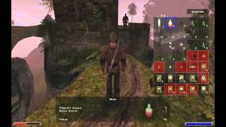 Lets Play Gothic II Night of the Raven  13  Dexter