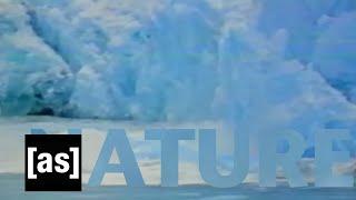Nature  Off the Air  Adult Swim