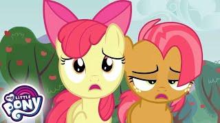 My Little Pony Bahasa Indonesia  Reuni Keluarga Apel  Episode Penuh