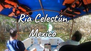 A boat tour of Ría Celestún