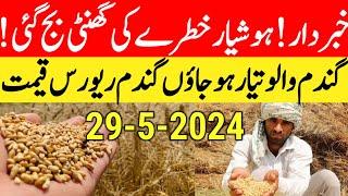 لاہور والوں کی موجیں نئی گندم کا نئی ریٹ wheat price in pakistan 2024