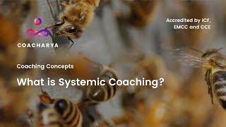 What is Systemic Coaching?