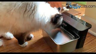 This PETLIBRO Pet Water Fountain is the Best Way to Keep Your Pets Water Safe to Drink