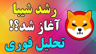 پامپ شیبا آغاز شد؟؟