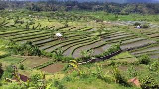 Kawasan wisata super alami top mantapdesa ababi tirta gangga karangasem bali24-8-2018