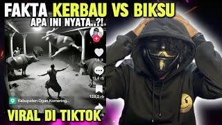 FAKTA BIKSU VS KERBAU YANG LAGI VIRAL DI TIKTOK  VIRAL NEWS