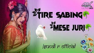 Tire Sabing Mese Juri  New Santali WhatsApp Status Video ️  Santali Romantic Song Status Video