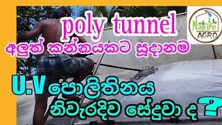 පොලි ටනල්  පොලිතිනය සේදීම  poly tunnel  green house  wash u.v polithyne  protected agriculture