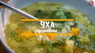 уха из камбалы #Shorts