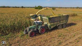 Siláže 2023 - KRONE Big X 1100 FENDT 820 Vario TMS 5x JOHN DEERE