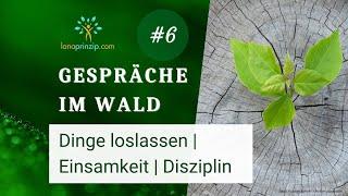 Dinge loslassen. Allein fühlen. Disziplin - Gespräche im Wald 6