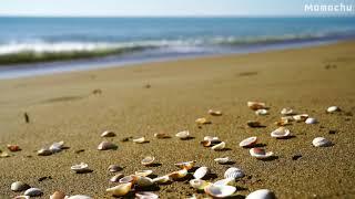 【白噪音】沙灘上的貝殼與海浪的聲音10 小時ASMR頭痛提升解決寧靜搖籃曲冷靜放鬆按摩耳嗚度假沉睡睡眠品質心靈療癒專心舒緩讀書睡不著如何睡的著平靜沉澱