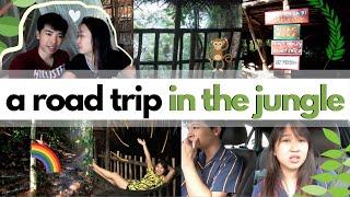 weekend fun #1 getaway from KL to rainforest treehouse in Kulai Johor