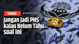 Sebelum Akses Informasi Pendaftaran CPNS 2024 Wajib Tahu Pangkat dan Gaji PNS Berikut  SINAU