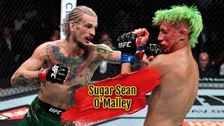Sugar Sean OMalley Best Knockouts  Highlights - “Soldier”