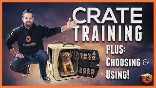 Crate Training Definitive Guide - Why and How to do it