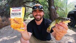 BABY CATFISH CATCH CLEAN COOK