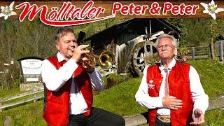 MÖLLTALER PETER & PETER - Ein Mutterherz