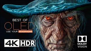 The Craziest OLED Test in 4K HDR 60FPS - Dolby Vision