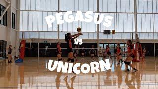 PEGASUS vs UNICORN - Semi-Finals Match  QLD VOLLEYBALL STATE CHAMPIONSHIP 2021