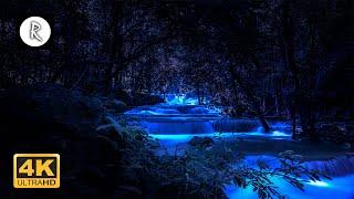 Forest Sounds at Night - Crickets Creek Water Sounds Rain & Thunder  Nature Sound