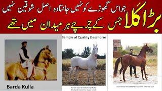 The Most Famous Desi stallion Of Pakistan Barda Kulla  History of this horse will surprise you