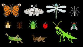 Insects - Animals Series - Bugs - The Kids Picture Show Fun & Educational Learning Video