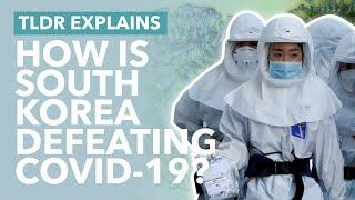 Why South Koreas Coronavirus Lockdown was so Effective What Can we Learn? - TLDR News