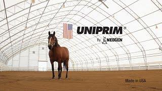 Horse Health Is Your Top Priority  Uniprim®