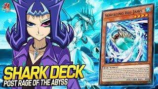 Deck Shark Post Rage of the Abyss EDOPRO  Replays  + Decklist ️