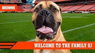 Welcome SJ to the family  Cleveland Browns