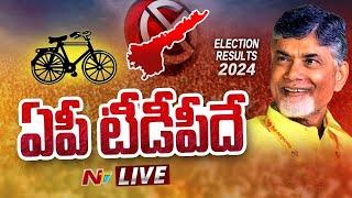 AP Election Results 2024 LIVE Updates  Ntv