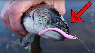 How To Fish Plastic PINK WORMS To Catch Trout EASY & EFFECTIVE