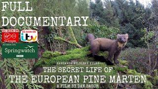 The Secret Life of the Pine Marten - Full Documentary