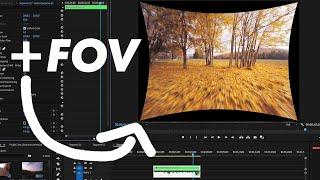 Lens Distortion Correction without Cropping - Premier PRO tutorial