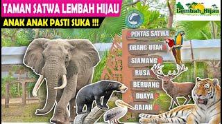 REVIEW TERBARU TAMAN SATWA LEMBAH HIJAU LAMPUNG 2023  VLOG LIHAT TAMAN SATWA NOVEMBER 2023 