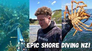 2 days Shore Diving NZ  Spearfishing Catch Cook