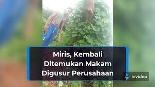 Miris Kembali Ditemukan Makam Yang Digusur Perusahaan