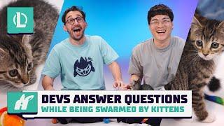 Devs Answer Questions While Swarmed by Kittens  League of Legends