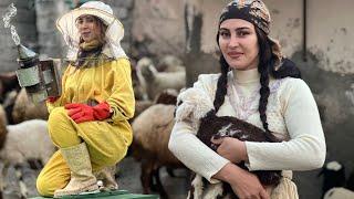 Daily life in the village and Iranian-style breakfast with organic dairy products