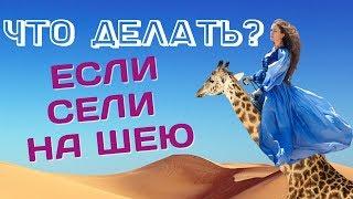 Что делать если тебе СЕЛИ НА ШЕЮ Как не допустить чтобы родные перешли ТВОИ ГРАНИЦЫ