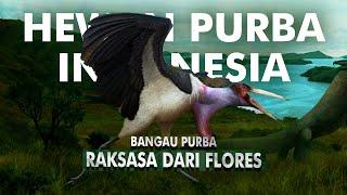 Bagaimana Bangau Purba Raksasa Ini Hidup di Indonesia?  Leptoptilos Robustus