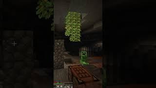 Never go AFK while playing Minecraft