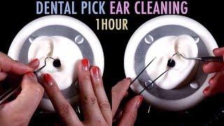 ASMR. 1 Hour of Ear Cleaning wDental Pick & Tweezers No Talking