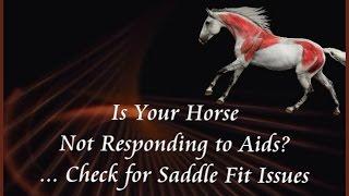 Is Your Horse Not Responding to Your Aids? Check for Saddle Fit Issues.  by Jochen Schleese