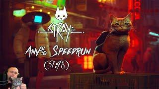 Stray Any% PC Speedrun 5148