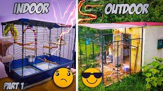 Are Parakeets for Indoor or Outdoor keeping  Part 1