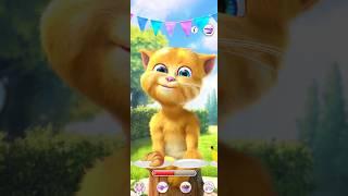 Ginger 2 ️️️‼️#shorts #viral #tom #talkingtom #shortvideo #fannycat #youtubeshorts